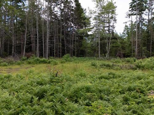 Lot 61 & 62 Bald Eagle Lane, Mill Cove, PE 