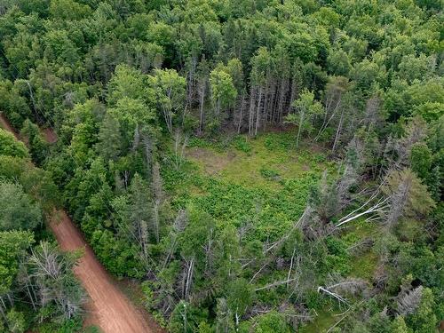 Lot 61 & 62 Bald Eagle Lane, Mill Cove, PE 