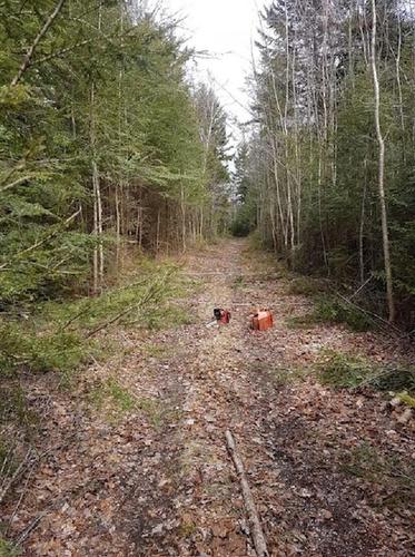 Lots Old North Range Road, Gilberts Cove, NS 