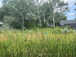 17 Dickhout Road  Haldimand, ON N0A 1K0