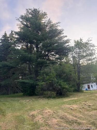 195 Morton Rd, Wheaton Settlement, NB 