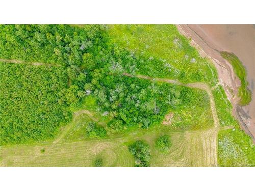 Lot Johnston Point Rd, Johnston Point, NB 