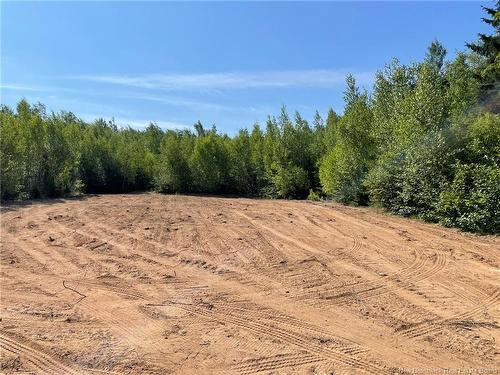 Lot Richard Hill Rd, Shediac Bridge, NB 
