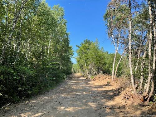 Lot Richard Hill Rd, Shediac Bridge, NB 