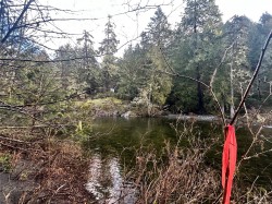 Lot A Phillips Rd  Sooke, BC V9Z 1K7