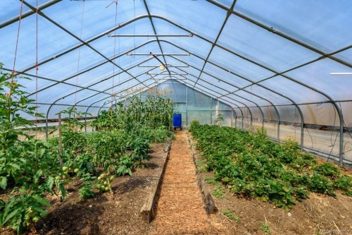 7455 Rodger Rd, Merville, BC 