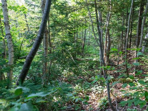 Lot Souris Line Road, Souris, PE 