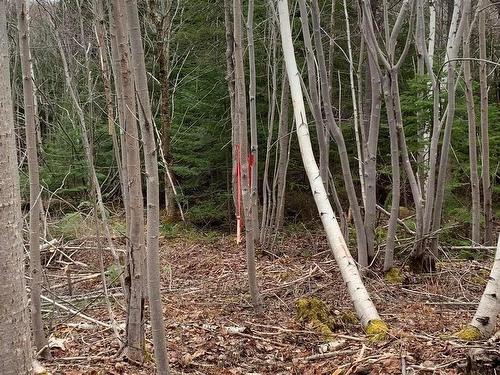 Lot 24-4 Little Harbour Road, Frasers Mountain, NS 