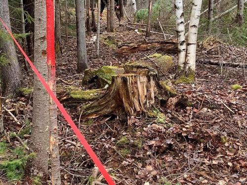 Lot 24-2 Little Harbour Road, Frasers Mountain, NS 