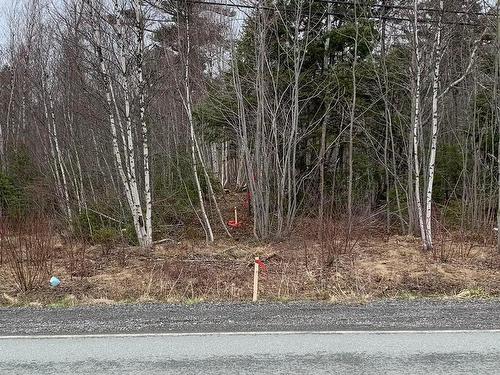 Lot 24-2 Little Harbour Road, Frasers Mountain, NS 