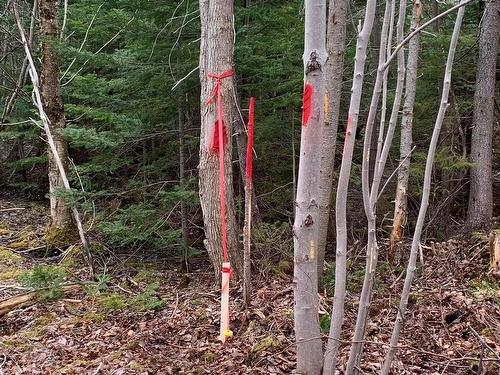 Lot 24-2 Little Harbour Road, Frasers Mountain, NS 