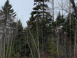Lot 24-3 Little Harbour Road  Frasers Mountain, NS B2H 3T5