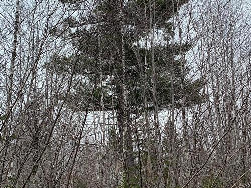 Lot 24-3 Little Harbour Road, Frasers Mountain, NS 