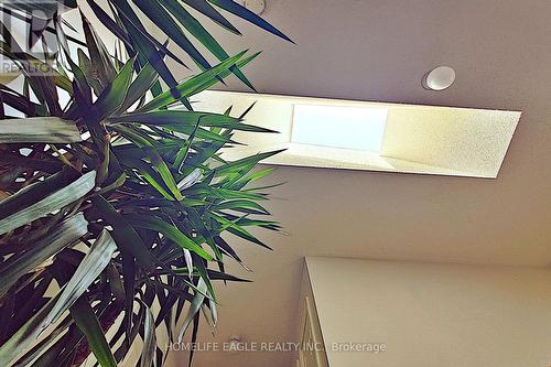 12 Indigo Street, Richmond Hill, ON - 