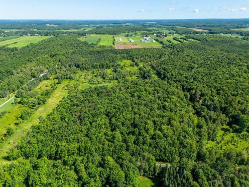 Vue d'ensemble - 687 5E Rang De Roxton, Roxton Pond, QC 