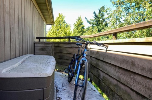 308-3225 Alder St, Victoria, BC - Indoor Photo Showing Other Room