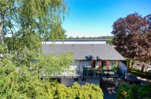308-3225 Alder St, Victoria, BC - Indoor Photo Showing Kitchen