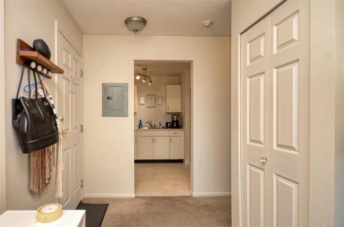 308-3225 Alder St, Victoria, BC - Indoor Photo Showing Kitchen