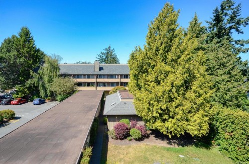 308-3225 Alder St, Victoria, BC - Indoor Photo Showing Bedroom