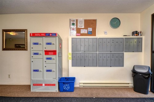 308-3225 Alder St, Victoria, BC - Indoor Photo Showing Other Room