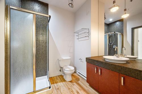 Salle de bains - 310-455 Rue St-Pierre, Montréal (Ville-Marie), QC - Indoor Photo Showing Bathroom