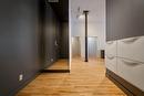 Hall - 310-455 Rue St-Pierre, Montréal (Ville-Marie), QC  - Indoor Photo Showing Other Room 