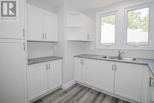 378 Thorold Road, Welland (N. Welland), ON - Indoor Photo Showing Kitchen With Double Sink