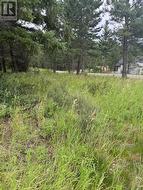 Lot 56 Charles Street  Elko, BC V0B 1T3