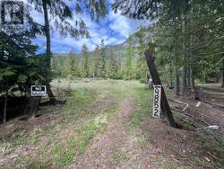 4852 48TH Street  Canyon, BC V0B 1C1