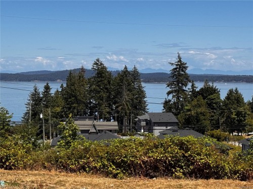 Lot 2 Douglas St, Chemainus, BC 