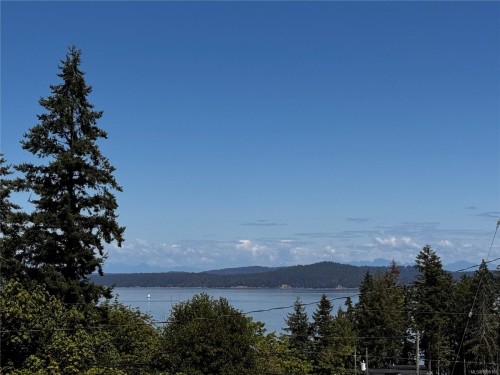 Lot 2 Douglas St, Chemainus, BC 