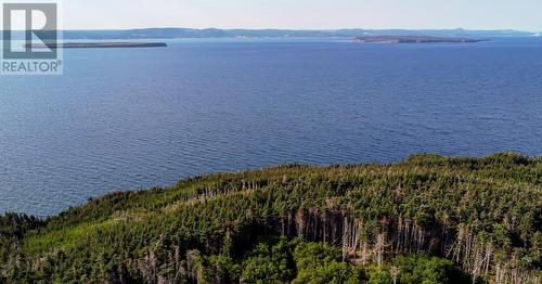 4 Bickfords Road, Bell Island, NL 