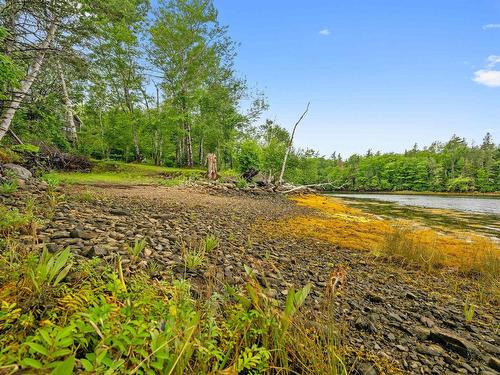 59 West Side Road, Sheet Harbour, NS 