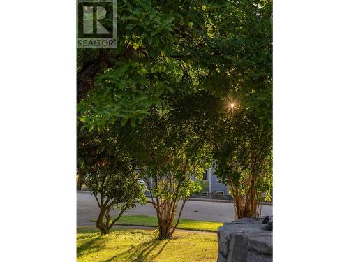 312 Latimer Street, Nelson, BC - Outdoor