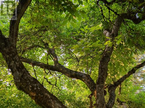 312 Latimer Street, Nelson, BC - Outdoor