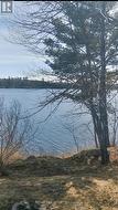 297 NICKEL LAKE SHORES ROAD  Rainy River, ON P9A 3M3