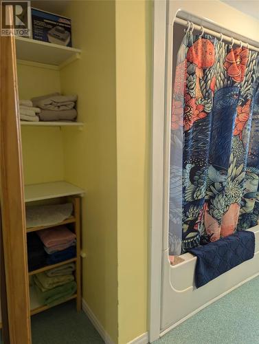 9 Bareneed Road, Bareneed, NL - Indoor With Storage