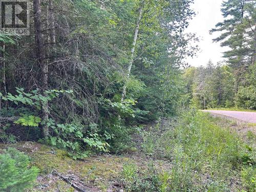 0 Trebbien Road, Bonnechere Valley, ON 