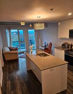 601-40 Rue St-Sylvestre  Longueuil (Le Vieux-Longueuil), QC J4H 2W2