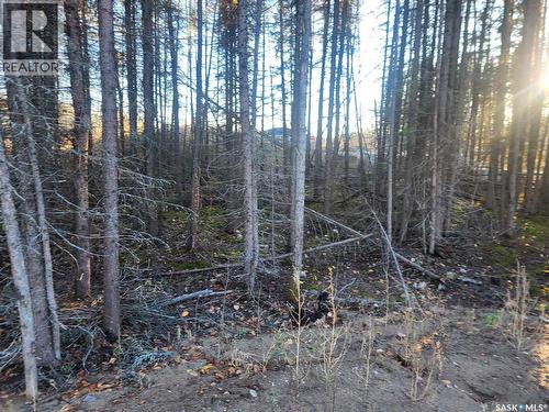 4 Billy Joe Bay, Candle Lake, SK 