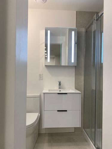 Bathroom - 12-2500 Ch. Bates, Montréal (Côte-Des-Neiges/Notre-Dame-De-Grâce), QC - Indoor Photo Showing Bathroom