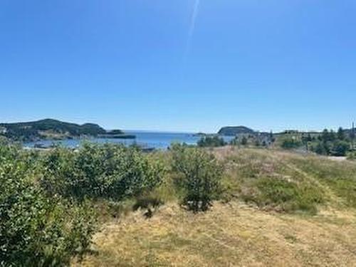 2 Bannisters Hill, Trinity East, NL 