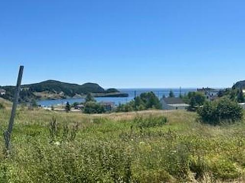 2 Bannisters Hill, Trinity East, NL 