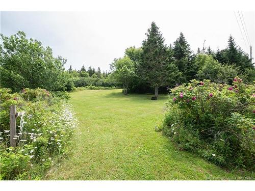 279 Cape Enrage Rd, Waterside, NB 