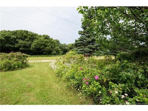 279 Cape Enrage Rd, Waterside, NB 