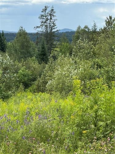 1080 Beaconsfield Rd, Beaconsfield, NB 