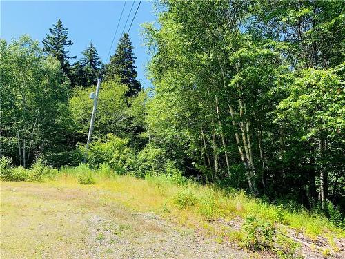 85-39 Alder Crt, Wilsons Beach, NB 