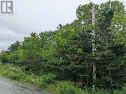 11 Parsons Place  Foxtrap, NL A1X 7B9