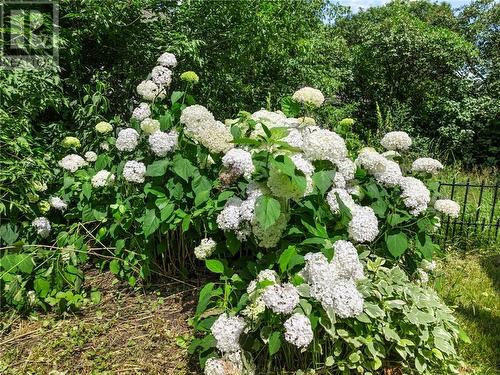 54 Baker Street, Sudbury, ON - Outdoor