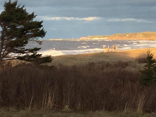 45 Murdocks Lane, Ponds, NS 